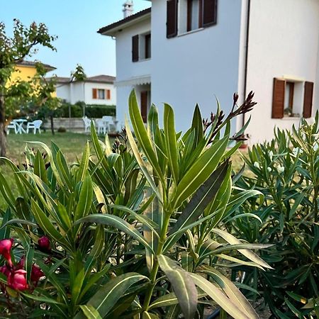 Private Apartment With Garden Cannigione Εξωτερικό φωτογραφία